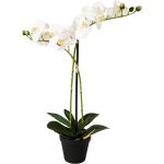 Orchidee künstlich, Phalaenopsis, Kunstblume Weiß 54 cm