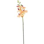 Reduzierte Buttinette Künstliche Orchideen 