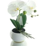 Grüne Gasper Runde Künstliche Orchideen aus Kunststoff 