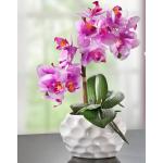 Rosa bader Künstliche Orchideen 