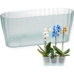 GarPet Orchideentöpfe 13 cm aus Glas 