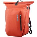 Ortlieb Vario QL3 Gepäckträgertaschen 20l mit Laptopfach 