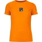 Bunte T-Shirts für Damen Größe XL für den für den Herbst 