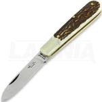 Otter Small buckhorn knife Taschenmesser