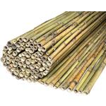 Reduzierte Sichtschutzmatten aus Bambus 