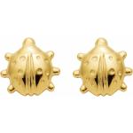 Goldene Marienkäfer Ohrringe mit Insekten-Motiv aus Gold für Damen 