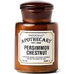 Paddywax Apothecary Artisan Duftkerze, handgegossen, 237 ml, Persimmon Chestnut