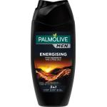Palmolive Energising Duschgel - spendet Feuchtigkeit & Glanz - Körperpflege für Männer 250 ml