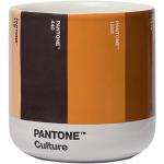 Reduzierte Nudefarbene Pantone LGBT Kaffeetassen 190 ml aus Porzellan ohne Henkel 4-teilig 