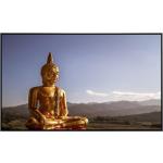 Goldene Asiatische Buddha Figuren 