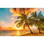 papermoon Vlies- Fototapete Digitaldruck 350 x 260 cm, Barbados Palm Beach