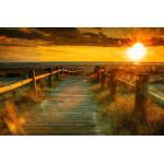 papermoon Vlies- Fototapete Digitaldruck 350 x 260 cm, Digitaldruck Sunset Beach (GLO769559108)