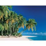 papermoon Vlies- Fototapete Digitaldruck 350 x 260 cm, Tropical Palms