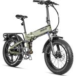 Paselec Elektrofahrrad 20 Zoll Fettreifen E-Bike Mountainbike 750W Motor Pedelec