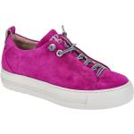 Violette Paul Green Runde Low Sneaker mit Glitzer mit Schnellverschluss in Normalweite aus Veloursleder mit herausnehmbarem Fußbett für Damen Größe 41,5 
