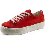 Reduzierte Rote Paul Green Super Soft Low Sneaker mit Schnürsenkel in Schmalweite aus Frottee für Damen Größe 37 