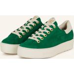 Grüne Paul Green Low Sneaker mit Glitzer aus Nubukleder für Damen Größe 35,5 