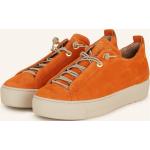 Orange Paul Green Low Sneaker aus Veloursleder für Damen Größe 40 