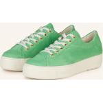 Hellgrüne Paul Green Low Sneaker aus Veloursleder für Damen Größe 35,5 