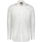 Reduzierte Weiße Langärmelige PAUL & SHARK Button Down Kragen Herrenlangarmhemden mit Hai-Motiv mit Knopf aus Baumwolle Größe XXL 