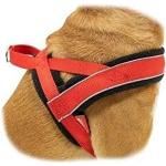 Rote pawise Hundehalsbänder 1-teilig 