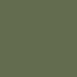 Reduzierte Grüne Moderne Pedrali Tatami Schalenstühle & Schalensessel aus Kunststoff stapelbar Breite 50-100cm, Höhe 50-100cm, Tiefe 50-100cm 