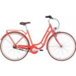 Pegasus Bici Italia 7 Damen orange 2022 55 cm