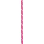 Performance Static 10.5 mm - Edelrid Statikseil pink (242) 50m