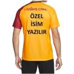 Personalisierter Name – Galatasaray 4 Star Gelb-Rotes Fußballtrikot für Erwachsene der neuen Saison