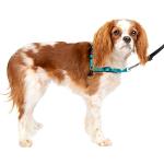 PetSafe Easy Walk Deluxe-Geschirr, reißfestes Laufgeschirr für Hunde, gepolstertes Design, inkl. 1,8 m Leine, Small-Ozeanblau/Schwarz
