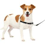 PetSafe Easy Walk-Geschirr, Anti-Zieh-Hundegeschir