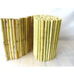 PflanzenFuchs Sichtschutz - Bambusmatte Weiß Heller Bambus Bambusrohr 35 x 200cm [3776]