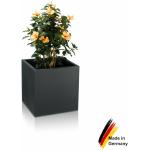 Anthrazitfarbene 50 cm Decoras Cubo Quadratische Pflanzkübel & Blumentöpfe 50 cm matt aus Kunststoff Outdoor 
