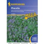 Kiepenkerl Phacelia-Samen 