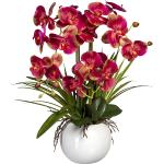 Orchideen Rosa online kaufen Künstliche Trends Günstig | 2024 |