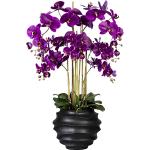 Schwarze Runde Künstliche Orchideen 