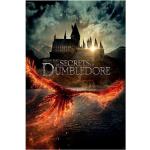 Harry Potter Filmposter & Kinoplakate aus Papier Hochformat 