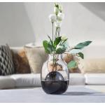 19 cm Philippi Vasen & Blumenvasen 19 cm aus Glas mundgeblasen 