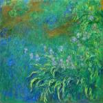 Grüne Claude Monet Nachhaltige Poster 80x80 