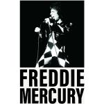 Grüne Vintage Freddie Mercury Nachhaltige Poster 50x75 