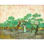 Olivgrüne Van Gogh Kunstdrucke 