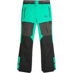 PICTURE NAIKOON Hose 2024 spectra green/black - S
