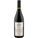 Brasilianische Miolo Wine Group Spätburgunder | Pinot Noir Rotweine 