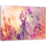 Lavendelfarbene Pixxprint Leinwandbilder mit Lavendel-Motiv 40x60 