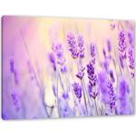 Lavendelfarbene Retro Pixxprint Leinwandbilder mit Lavendel-Motiv 40x60 