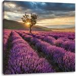 Lavendelfarbene Pixxprint Landschaftsbilder mit Lavendel-Motiv 40x40 