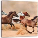 Western Pixxprint Pferde Bilder mit Pferdemotiv 40x40 
