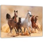Western Pixxprint Pferde Bilder mit Pferdemotiv 40x60 