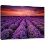 Lavendelfarbene Pixxprint Landschaftsbilder mit Lavendel-Motiv 40x60 