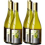 Trockene Brasilianische Chardonnay Weißweine Jahrgang 2013 0,75 l 